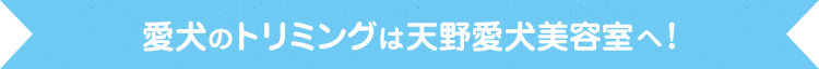 ワンちゃんにも飼い主様にも心地よいトリミングサロン